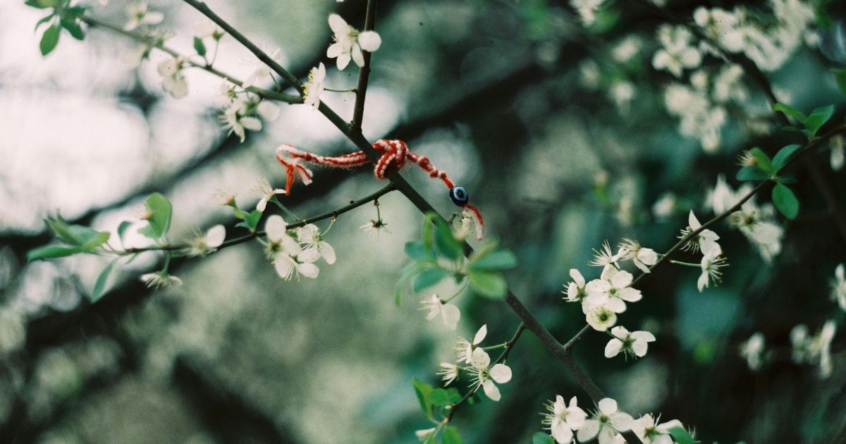 お守りを無くしたとき、それは運命のサイン？