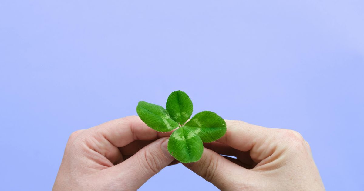 カマキリの卵はなぜ縁起が良いとされるのか