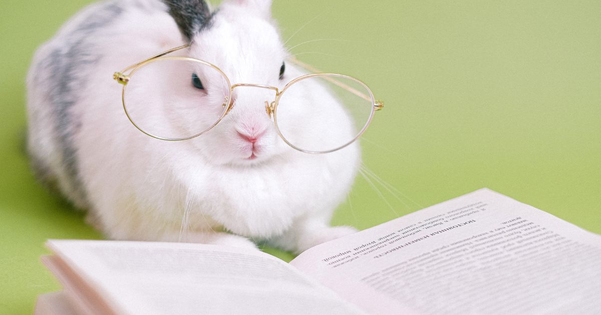 動物&サウンドモチーフでつくる愛されネーム