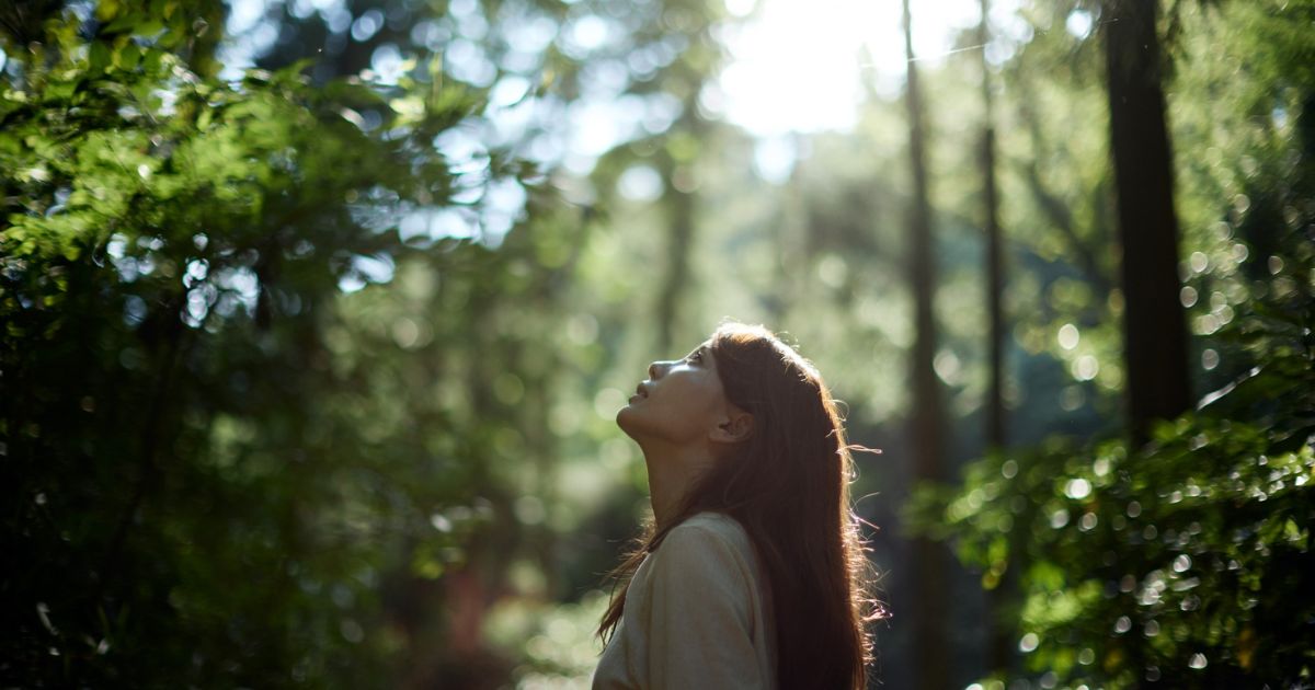 カマキリの卵から学ぶ人生のヒント