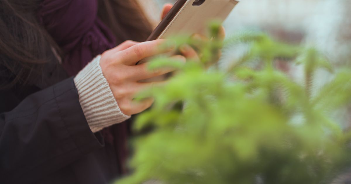 使いこなすコツと注意点まとめ