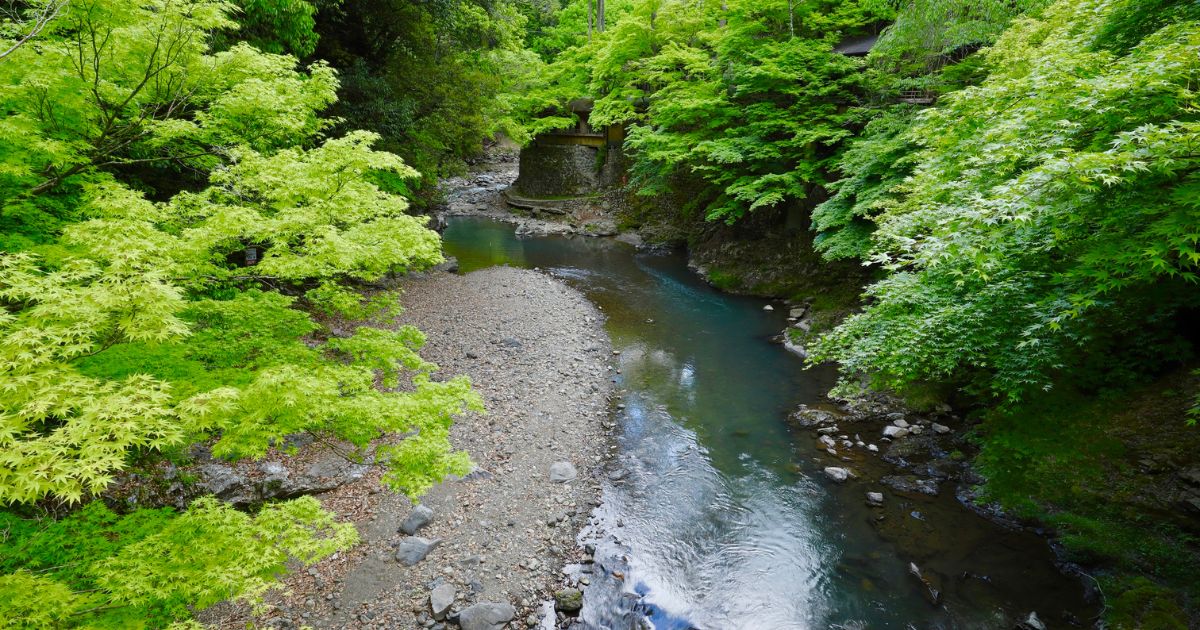 迷わない行動チャート 状況別のおすすめルート