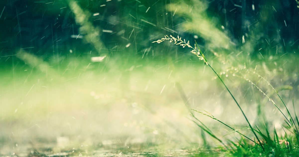 大雨の気遣いメッセージでよくある質問