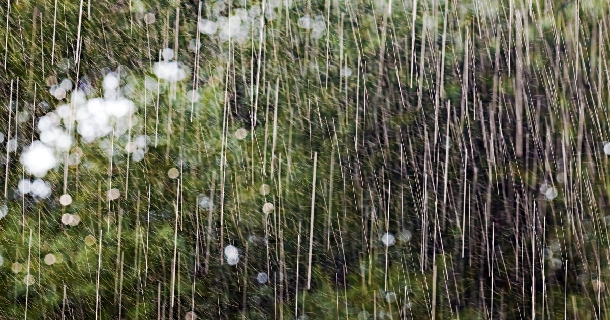 そのまま使える大雨の気遣いメッセージ例文【コピペOK】