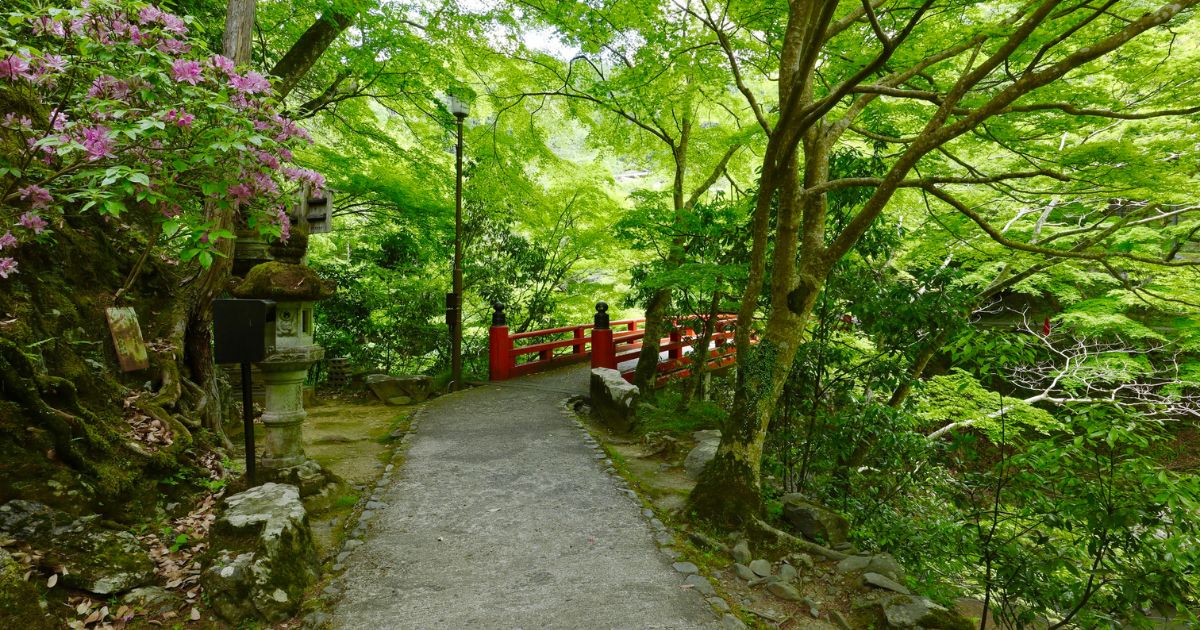 混雑の実感値をつかむ 時間帯 曜日 季節の傾向