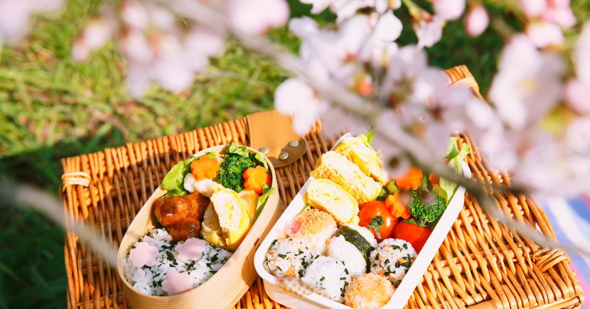 開けた瞬間に整って見える詰め方のコツ