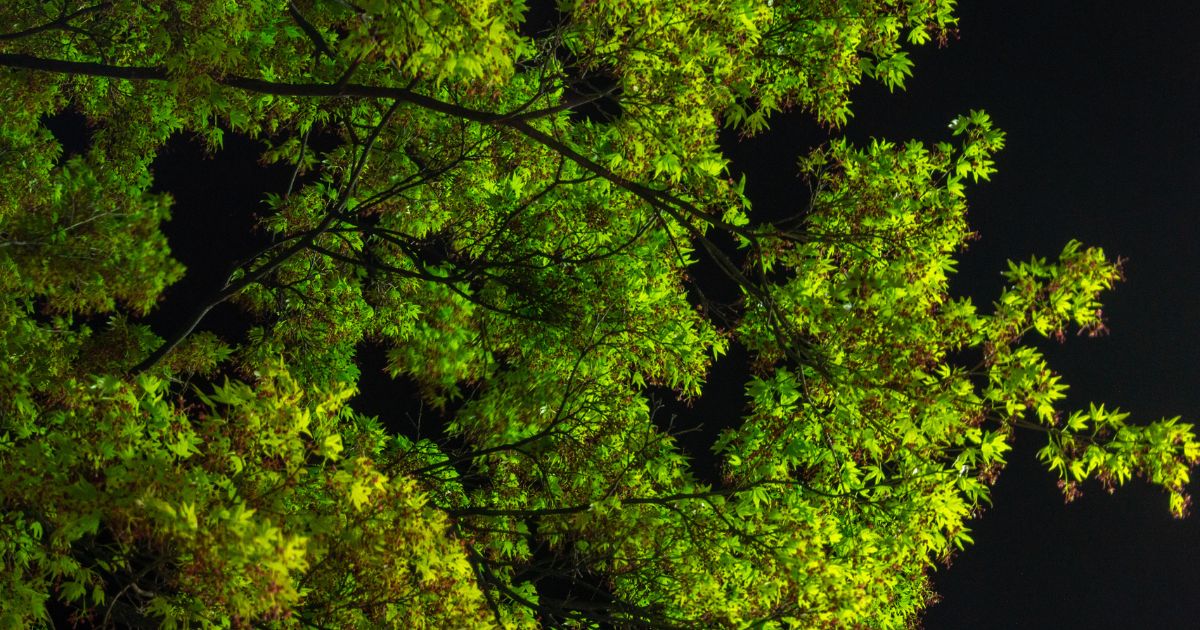 伊香保温泉石段街の夜を楽しむモデルプラン