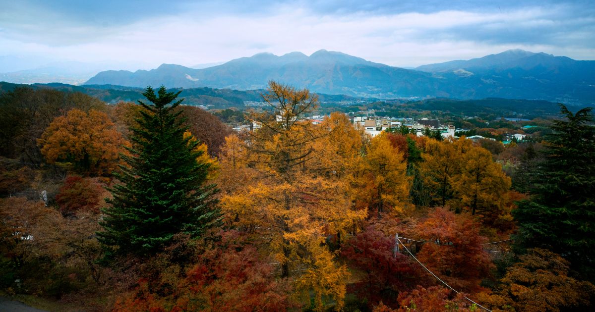 伊香保季節ごとの夜の楽しみ方と快適に過ごすコツ