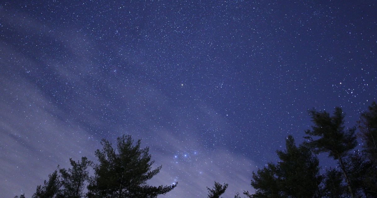 ジーと鳴く虫に関するよくある疑問