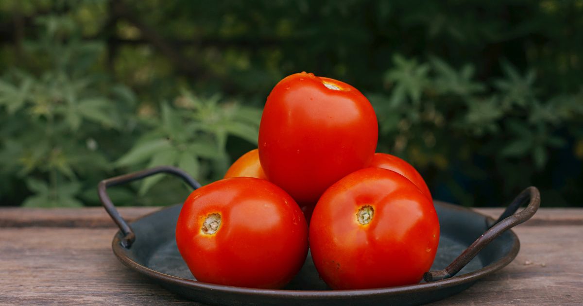 トマト煮込みでよくある疑問
