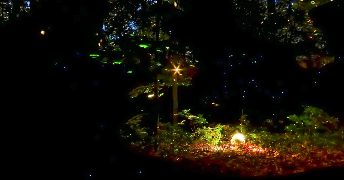 ジーと鳴く虫の正体と音の特徴を知っておこう