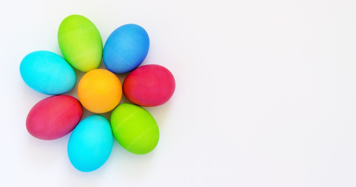 こんにゃくパークの無料サービスが成り立つ仕組みとは？