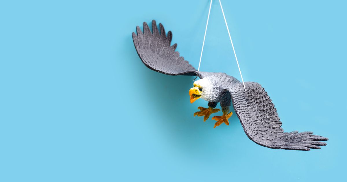 鳥のフンの見分け方でよくある質問